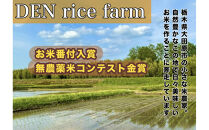 グルテンフリー&nbsp;無添加&nbsp;米麺&nbsp;120g&nbsp;&nbsp;10個セット（白米麺10個）｜米粉&nbsp;うどん&nbsp;焼きそば&nbsp;パスタ&nbsp;麺&nbsp;