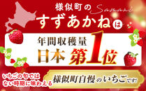 初夏を告げる！北海道　様似町産　すずあかね　600g（300g×2セット）