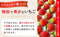 初夏を告げる！北海道　様似町産　すずあかね　600g（300g×2セット）