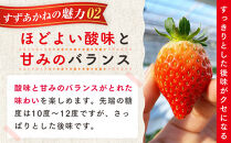 初夏を告げる！北海道　様似町産　すずあかね　600g（300g×2セット）