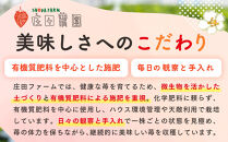 初夏を告げる！北海道　様似町産　すずあかね　600g（300g×2セット）
