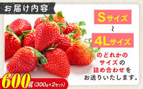 初夏を告げる！北海道　様似町産　すずあかね　600g（300g×2セット）