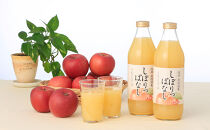 3ヵ月連続お届け！毎月変わる果汁100％人気ジュースセット定期便