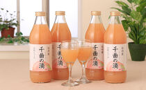 3ヵ月連続お届け！毎月変わる果汁100％人気ジュースセット定期便