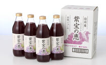 3ヵ月連続お届け！毎月変わる果汁100％人気ジュースセット定期便