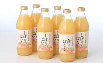 【定期便】3ヵ月連続お届け信州産&nbsp;りんごジュース&nbsp;「しぼりっぱなし」&nbsp;果汁100％&nbsp;(1L×6本)