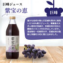信州産&nbsp;巨峰ジュース&nbsp;果汁100％　「紫宝の恵」&nbsp;(1L×4本)