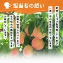 信州産&nbsp;白桃ジュース&nbsp;「千曲の滴」&nbsp;果汁100％&nbsp;(1L×4本)