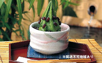 抹茶・ほうじ茶アイス（各4個）8個セット【寿づき園茶店】&nbsp;|&nbsp;&nbsp;アイス&nbsp;緑茶アイス&nbsp;ほうじ茶アイス&nbsp;スイーツ&nbsp;デザート&nbsp;人気&nbsp;おすすめ&nbsp;和スイーツ&nbsp;ギフト&nbsp;&nbsp;送料無料&nbsp;&nbsp;長野県&nbsp;長野市&nbsp;信州&nbsp;信濃&nbsp;ふるさと納税