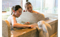 【お宿　月夜のうさぎ（共立リゾート）】平休日1泊2食付&nbsp;ペア宿泊券《和洋ツイン》