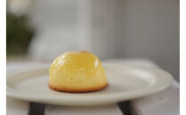 「ヒラミーレモンケーキ」20個（10個入り×2）