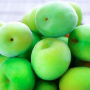 手もぎ&nbsp;青梅&nbsp;南高梅&nbsp;20kg&nbsp;L～2Lサイズ&nbsp;谷本農園