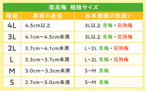 手もぎ&nbsp;青梅&nbsp;南高梅&nbsp;15kg&nbsp;大粒&nbsp;3Lサイズ&nbsp;以上&nbsp;谷本農園