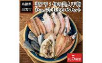訳アリ：旬の美人干物&nbsp;たっぷりおまかせセット5種類