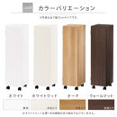 【完成品でお届け】オーダーすき間ラック〔幅26cm・キャスター・扉右開き・ロータイプ〕（オーク）すき間ラック&nbsp;収納棚&nbsp;約&nbsp;奥行32&nbsp;高さ96&nbsp;扉付き&nbsp;キャスター付き&nbsp;スリム&nbsp;ロータイプ&nbsp;本棚&nbsp;縦長&nbsp;AKANBE400108-26R-OAK