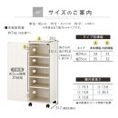 【完成品でお届け】オーダーすき間ラック〔幅35cm・キャスター・扉右開き・ロータイプ〕（ホワイト）すき間ラック&nbsp;収納棚&nbsp;約&nbsp;奥行32&nbsp;高さ96&nbsp;扉付き&nbsp;キャスター付き&nbsp;スリム&nbsp;ロータイプ&nbsp;本棚&nbsp;縦長&nbsp;AKANBE400111-35R-WH