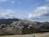 【松代城&nbsp;壱口城主証】