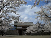 【松代城&nbsp;壱口城主証】