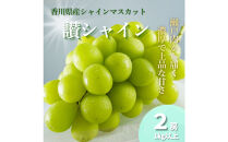 香川産&nbsp;シャインマスカット「讃シャイン」２房（1kg以上）