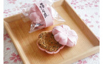 鎌倉さんぽ道&nbsp;/&nbsp;鎌倉さくら道12個入り