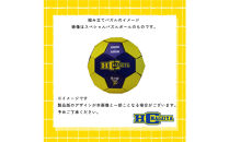 HC名古屋&nbsp;スペシャルパズルボール&nbsp;【トップスポーツチーム活動支援事業寄附金専用】