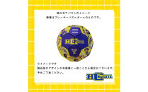 HC名古屋&nbsp;2025-2026シーズンプレーヤー＆デュアルキャリア&nbsp;スペシャル&nbsp;パズルボール&nbsp;【トップスポーツチーム活動支援事業寄附金専用】