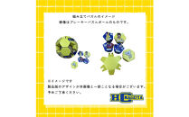 HC名古屋&nbsp;2025-2026シーズン&nbsp;全選手サイン入り&nbsp;スペシャルパズルボール＆デュアルキャリア&nbsp;パズルボール&nbsp;【トップスポーツチーム活動支援事業寄附金専用】