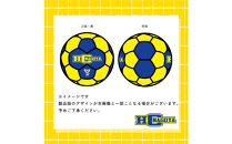 HC名古屋&nbsp;2025-2026シーズン&nbsp;全選手サイン入り&nbsp;スペシャルパズルボール＆デュアルキャリア&nbsp;パズルボール&nbsp;【トップスポーツチーム活動支援事業寄附金専用】