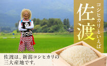 【トキと一緒に育った特別なコシヒカリ】佐渡産&nbsp;減農薬特別栽培米コシヒカリ&nbsp;10kg（5kg×2袋）