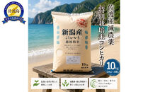 【トキと一緒に育った特別なコシヒカリ】佐渡産&nbsp;減農薬特別栽培米コシヒカリ&nbsp;10kg（5kg×2袋）
