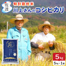 佐渡島産&nbsp;川上さんのコシヒカリ&nbsp;白米5kg&nbsp;令和7年産&nbsp;特別栽培米&nbsp;【食の宝島佐渡】