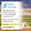 佐渡島産&nbsp;川上さんのコシヒカリ&nbsp;白米5kg&nbsp;令和7年産&nbsp;特別栽培米&nbsp;【食の宝島佐渡】