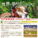 佐渡島産&nbsp;川上さんのコシヒカリ&nbsp;白米20kg&nbsp;令和7年産&nbsp;特別栽培米&nbsp;【食の宝島佐渡】