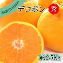 先行予約［秀品］和歌山有田のデコポン！約2.5kg［2027年1月下旬以降順次発送］［NGT15］