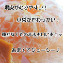 先行予約［秀品］和歌山有田のデコポン！約2.5kg［2027年1月下旬以降順次発送］［NGT15］