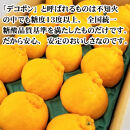［先行予約］［秀品］和歌山有田のデコポン！約2.5kg［2027年1月下旬以降順次発送］［NGT15］