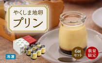 【数量限定】やくしま地卵冷凍プリン&nbsp;6個セット