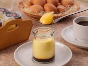 【ギフト用】【数量限定】やくしま地卵冷凍プリン&nbsp;12個セット