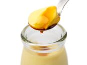 【ギフト用】【数量限定】やくしま地卵冷凍プリン&nbsp;12個セット