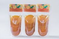 【ギフト用】＜特産品コンクール優秀賞受賞＞屋久島たんかんスライスママレード６個セット