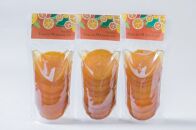 【ギフト用】＜特産品コンクール優秀賞受賞＞屋久島たんかんスライスママレード３個セット