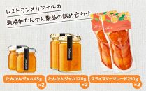 屋久島たんかんご褒美セット