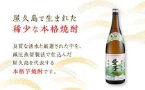 【ギフト用】本格焼酎愛子&nbsp;1.8L&nbsp;&nbsp;25度&nbsp;三岳酒造