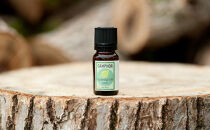 クスノキオイル10ml