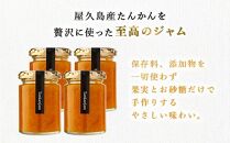 屋久島たんかんジャム４個セット