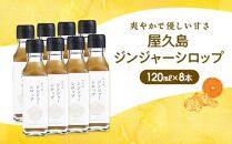 屋久島ジンジャーシロップ&nbsp;小(120ml)×8本セット