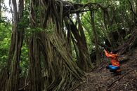 屋久島プライベート＆カスタマイズツアー