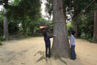 屋久島プライベート＆カスタマイズツアー