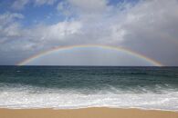 屋久島プライベート＆カスタマイズツアー