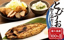漁協直営！屋久島産&nbsp;とびうお加工品セット